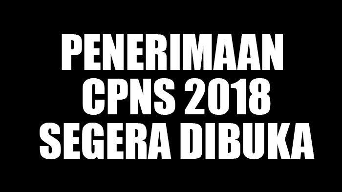 Tingkatkan Daya Saing Bangsa, Pemerintah Buka 238 Ribu Formasi CPNS