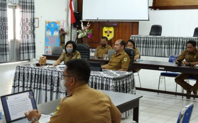 TPPS Kabupaten/Kota se Kalimantan Tengah Gelar Pertemuan Virtual